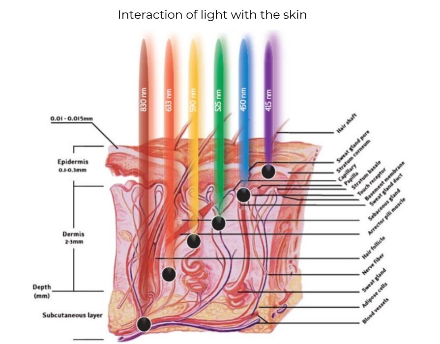 motivet Kejserlig princip LED Light Therapy Colors - MyLEDtherapy - LED Light Therapy Color Benefits