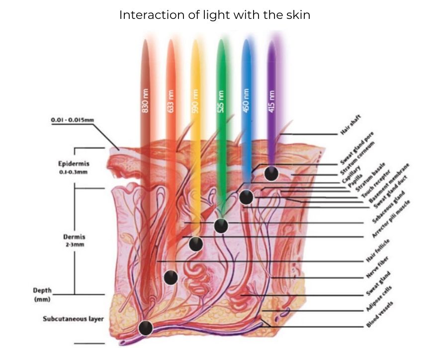 T Rastløs falskhed LED Light Therapy Colors - MyLEDtherapy - LED Light Therapy Color Benefits